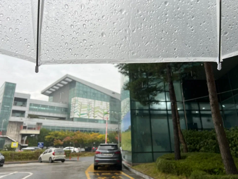 KakaoTalk_20231014_115701187.jpg?type=w966