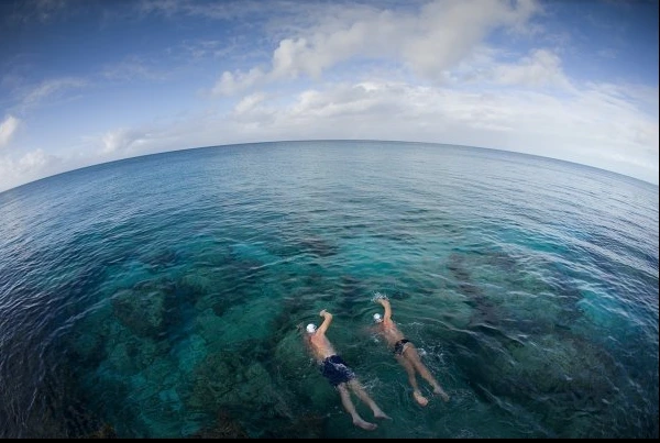 %ED%85%8C%EB%A6%AC%EB%9E%98%ED%94%8C%EB%A6%B05.PNG?type=w1