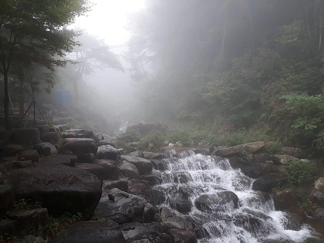 %EC%84%B8%EC%9B%94.jpg?type=w1