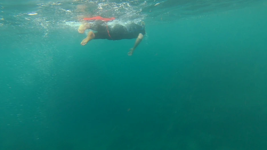 %EC%9D%B4%EA%B0%80%EC%9D%B4%EB%B2%84%EC%9D%98%EC%A0%9C%EC%A3%BCTI%EC%88%98%EC%98%811.PNG?type=w1