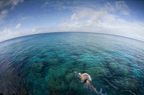 %ED%85%8C%EB%A6%AC%EB%9E%98%ED%94%8C%EB%A6%B06.PNG?type=w1