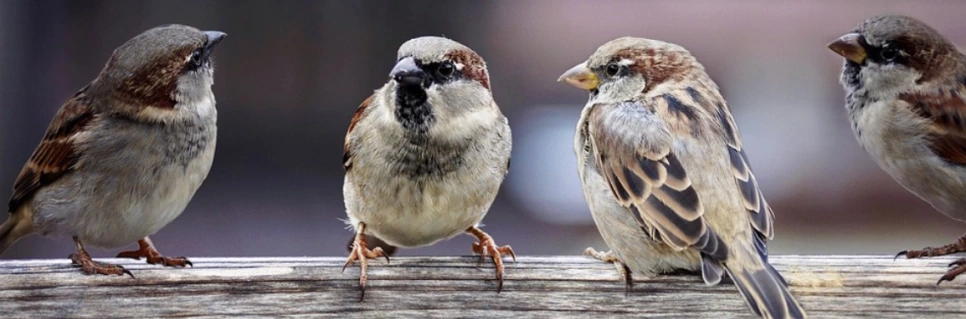 %EC%88%98%EB%8B%A4.PNG?type=w966