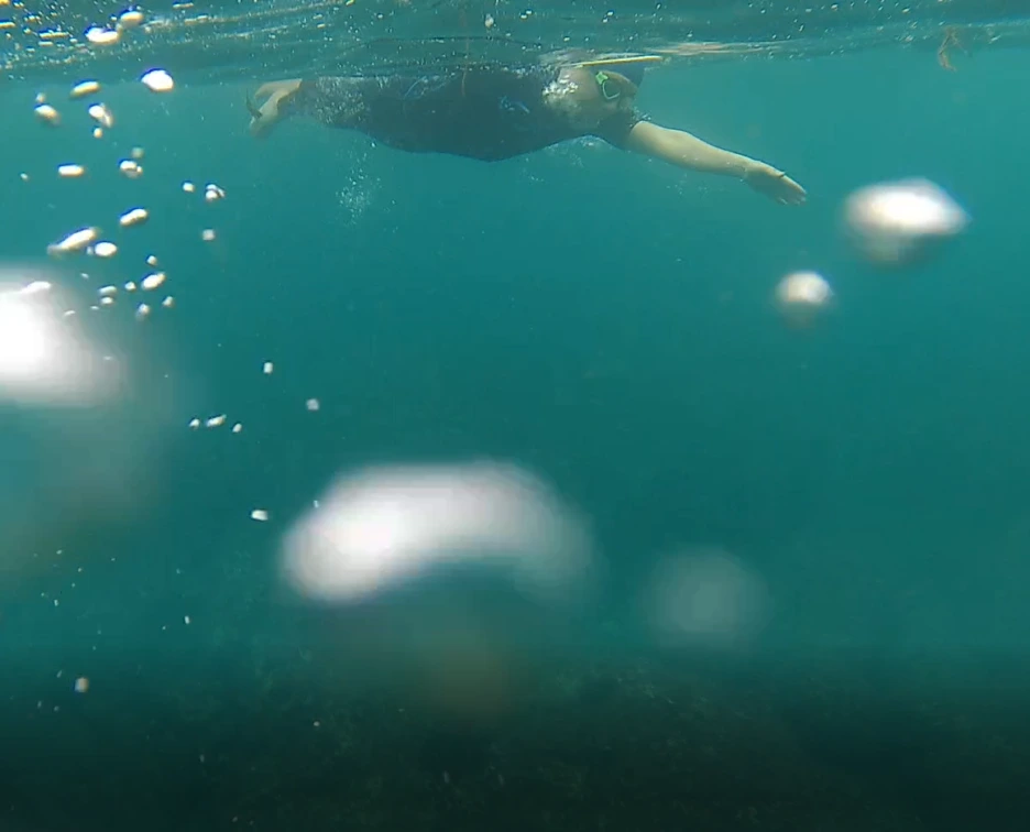 %EC%88%98%EC%A4%91%EC%9E%90%EC%84%B8.PNG?type=w1