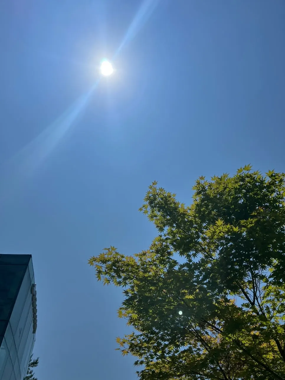 KakaoTalk_20240618_144644989_03.jpg?type=w966