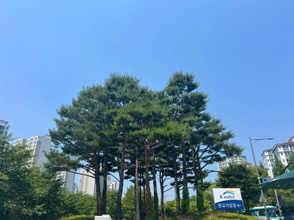 KakaoTalk_20240618_144644989_04.jpg?type=w966