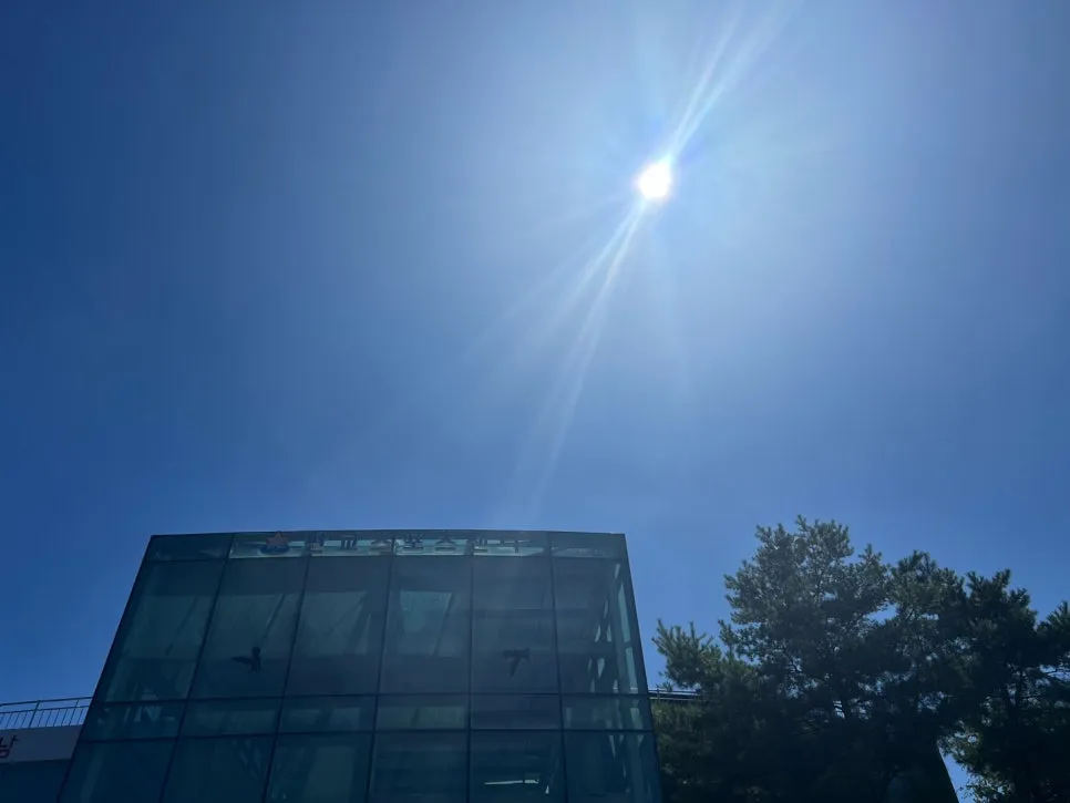 KakaoTalk_20240829_195113859.jpg?type=w966