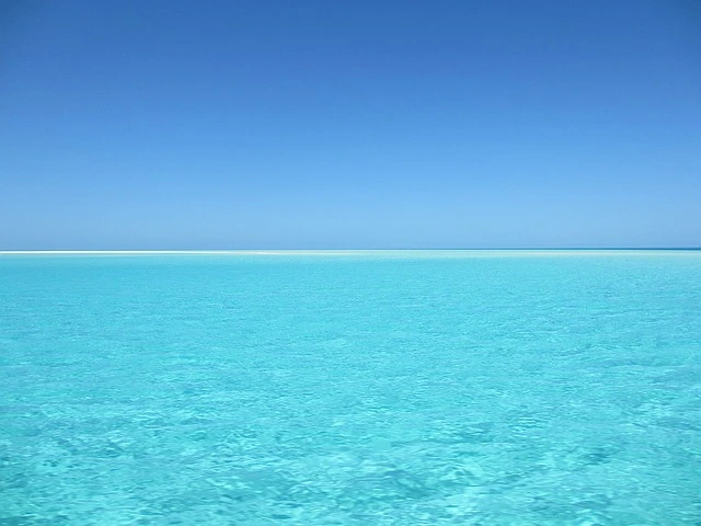 %EB%AC%BC1.jpg?type=w966