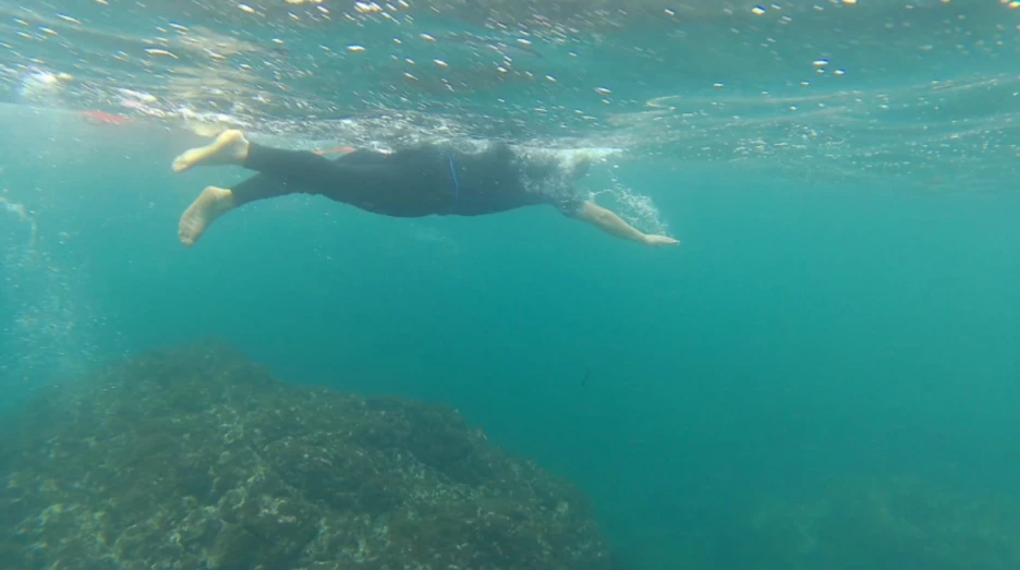 %EC%9D%B4%EA%B0%80%EC%9D%B4%EB%B2%84%EC%9D%98%EC%A0%9C%EC%A3%BCTI%EC%88%98%EC%98%814.PNG?type=w1