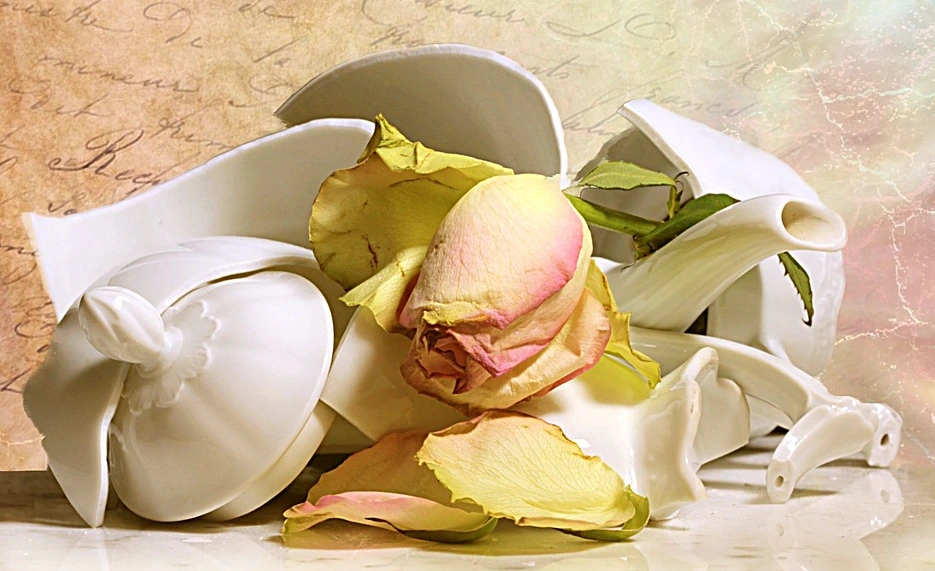 %25B3%25EB%25B3%25E2%25B1%25E2.PNG?type=w1