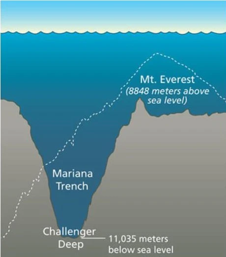 %25B8%25B6%25B8%25AE%25BE%25C6%25B3%25AA%25C7%25D8%25B1%25B8.jpg?type=w1