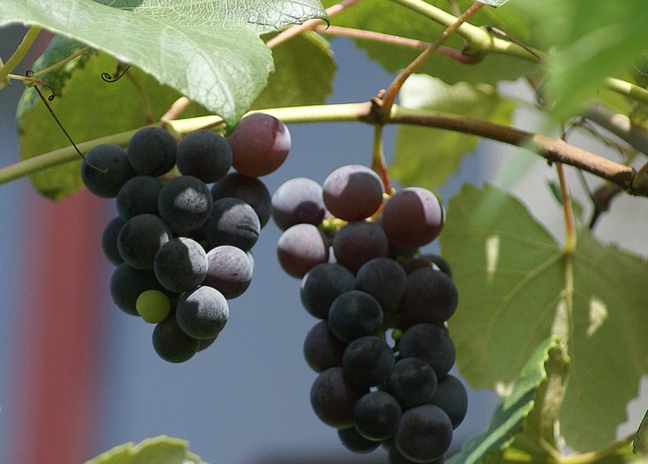 %EA%B2%B0%EC%8B%A41.PNG?type=w1