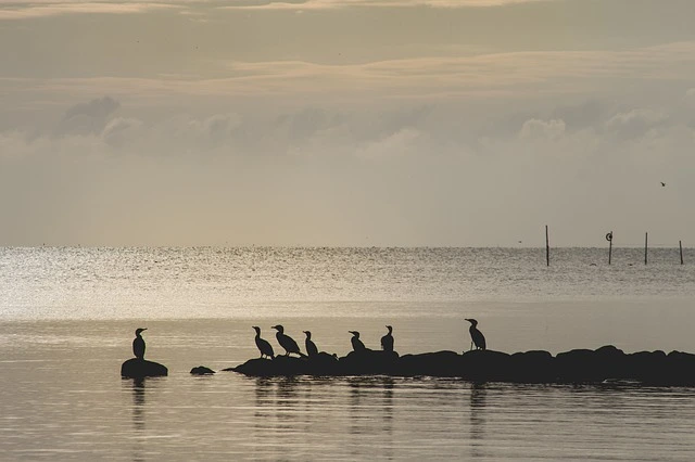 %EC%97%AC%EC%9C%A02.jpg?type=w1