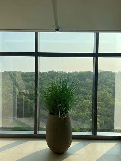 2025-05-29_09;55;58.PNG?type=w466