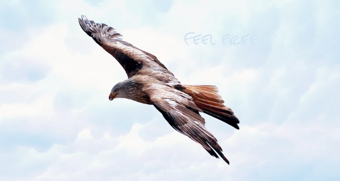 %EC%9E%90%EC%9C%A05.PNG?type=w1