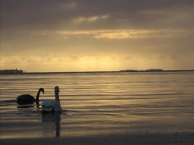 %EC%88%98%EC%98%8118.jpg?type=w1