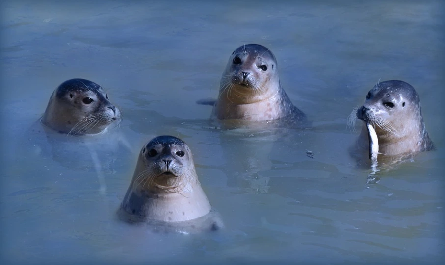 %EB%AC%BC%EA%B0%9C%EB%93%A4.PNG?type=w966