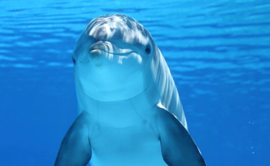 2016-06-11_17;47;46.PNG?type=w1