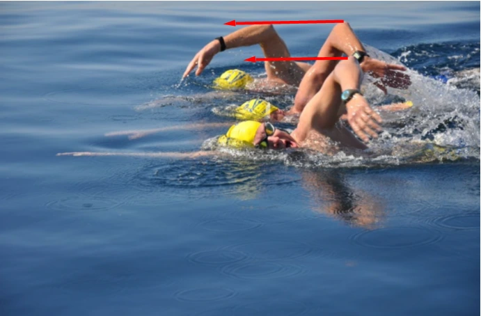 %ED%8C%94%EA%BF%88%EC%B9%98_%EC%9D%B4%EB%8F%99.PNG?type=w966