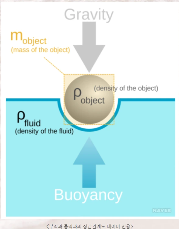 %EB%B6%80%EB%A0%A510.PNG?type=w1