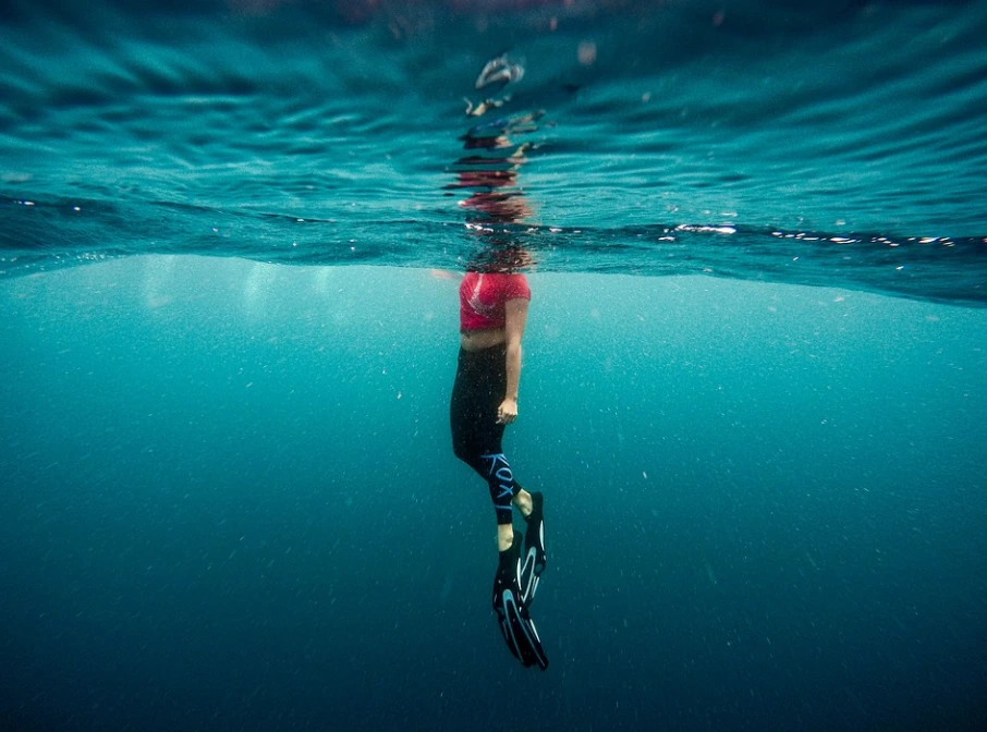 %EC%98%A4%EB%A6%AC%EB%B0%9C8.PNG?type=w1