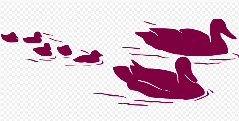 %EA%B0%80%EC%9D%B4%EB%93%9C%EB%9F%AC%EB%84%881.PNG?type=w1