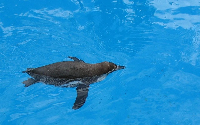 %EB%9D%84%EC%9A%B0%EA%B8%B02.jpg?type=w773