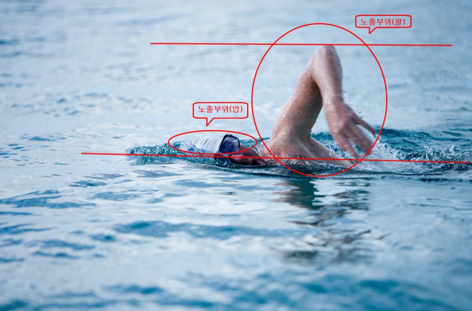 %EB%85%B8%EC%B6%9C%EB%B6%80%EC%9C%84.PNG?type=w1