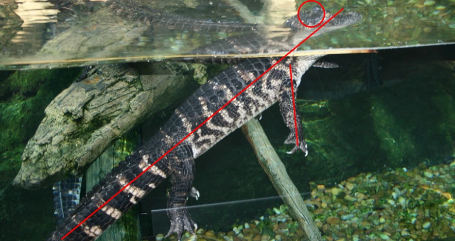 %EC%95%85%EC%96%B4.PNG?type=w1