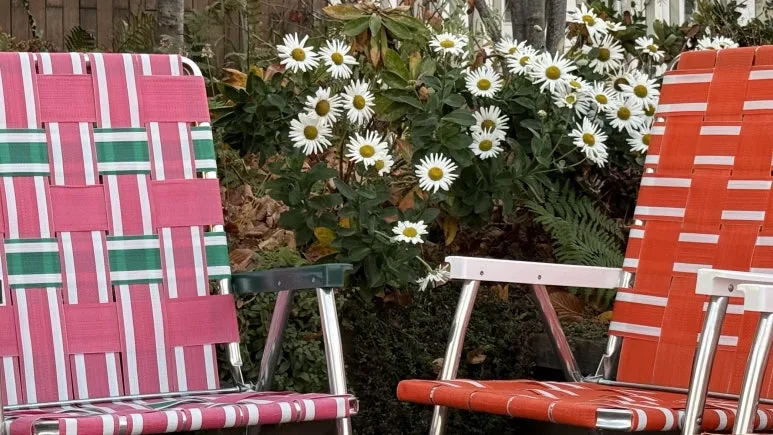 IMG_4257.jpg?type=w773