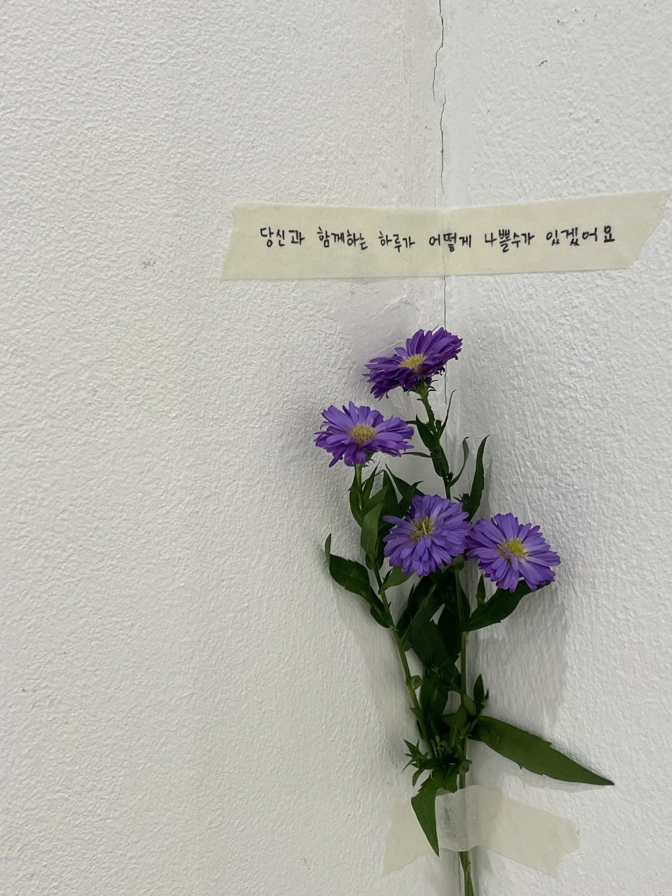 IMG_3792.JPG?type=w966