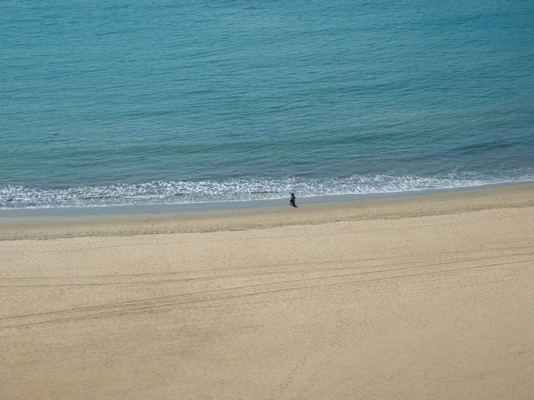 IMG_9957.JPG?type=w773