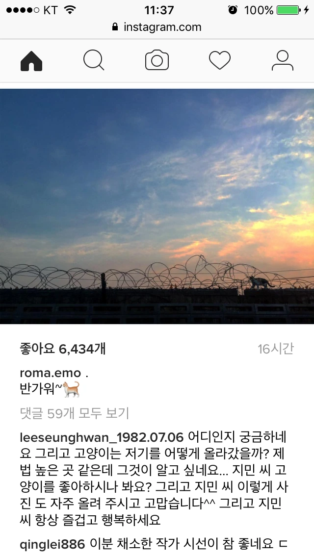 IMG_8589.PNG?type=w1