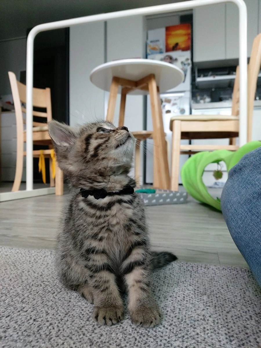 E2FQxYGVIAsV8bw.jpg?type=w1