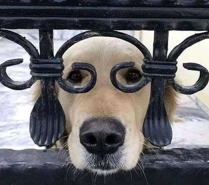 EmbKmuzXMAAc7rB.jpg?type=w1