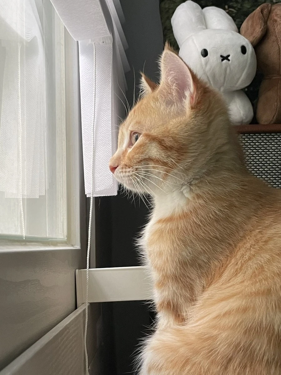 FGIi_6hVcAEmQtC.jpg?type=w1