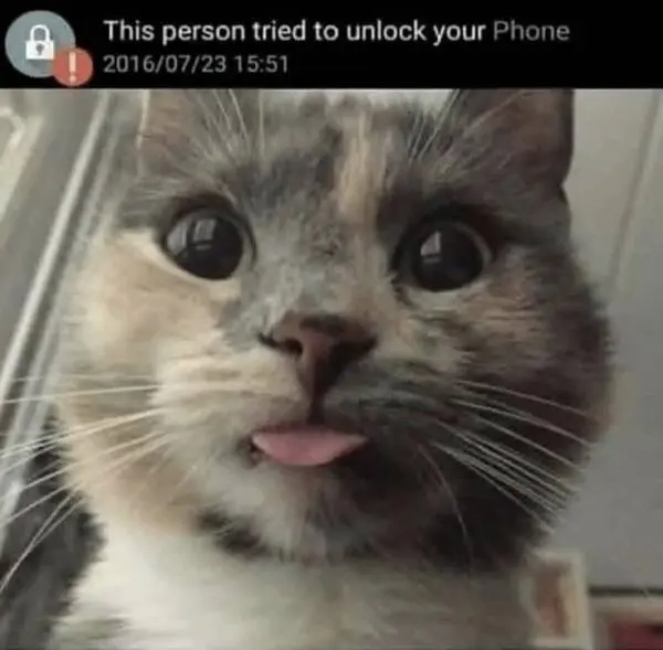 Et_CevkVoAE3qYN.jpg?type=w966