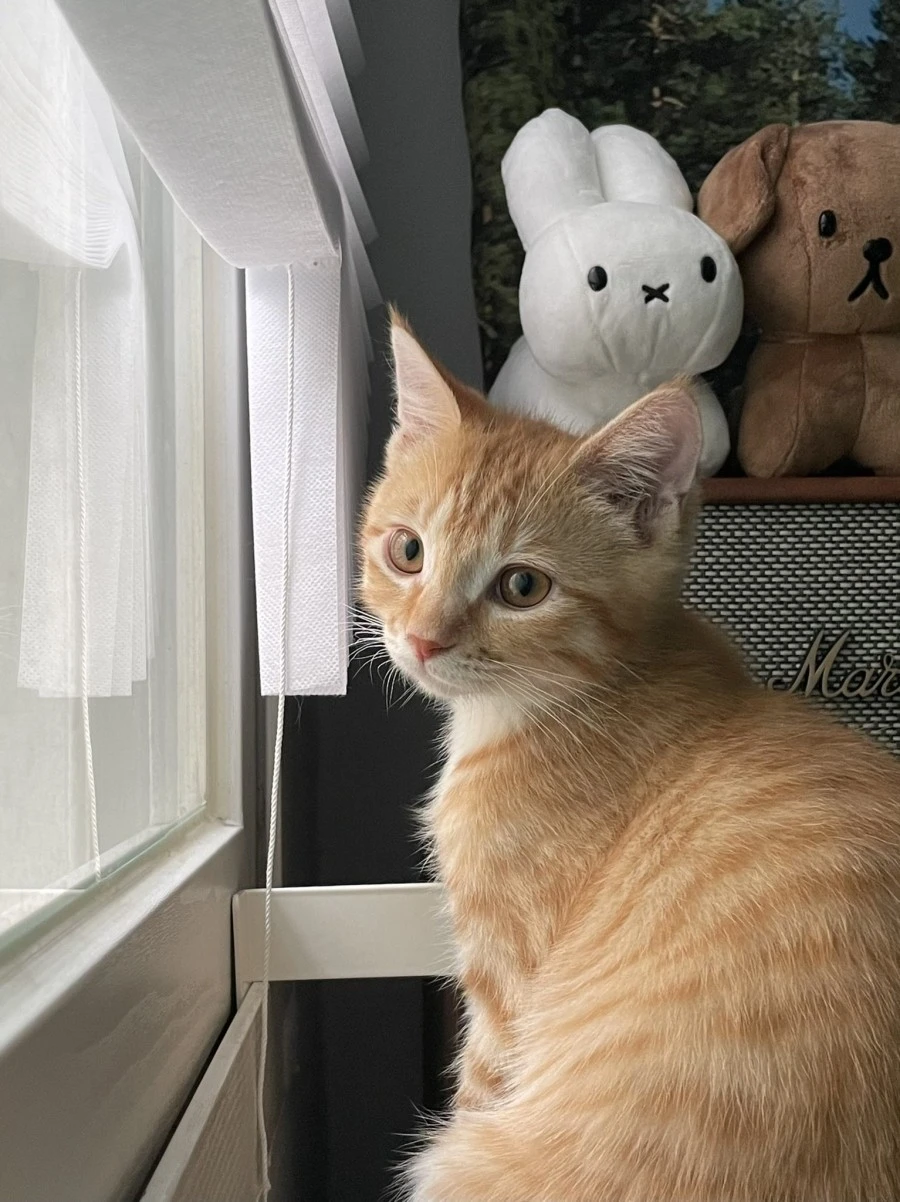 FGIi_6iUYAIFgxe.jpg?type=w1