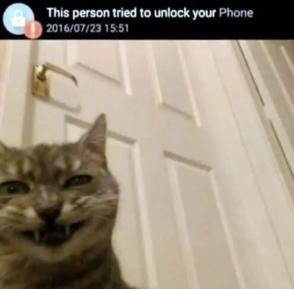 Et_Cf2mUUAEj9Co.jpg?type=w966