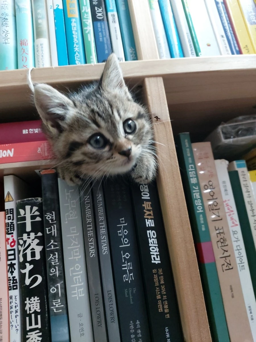 E2FQuKFVcAc48GN.jpg?type=w1