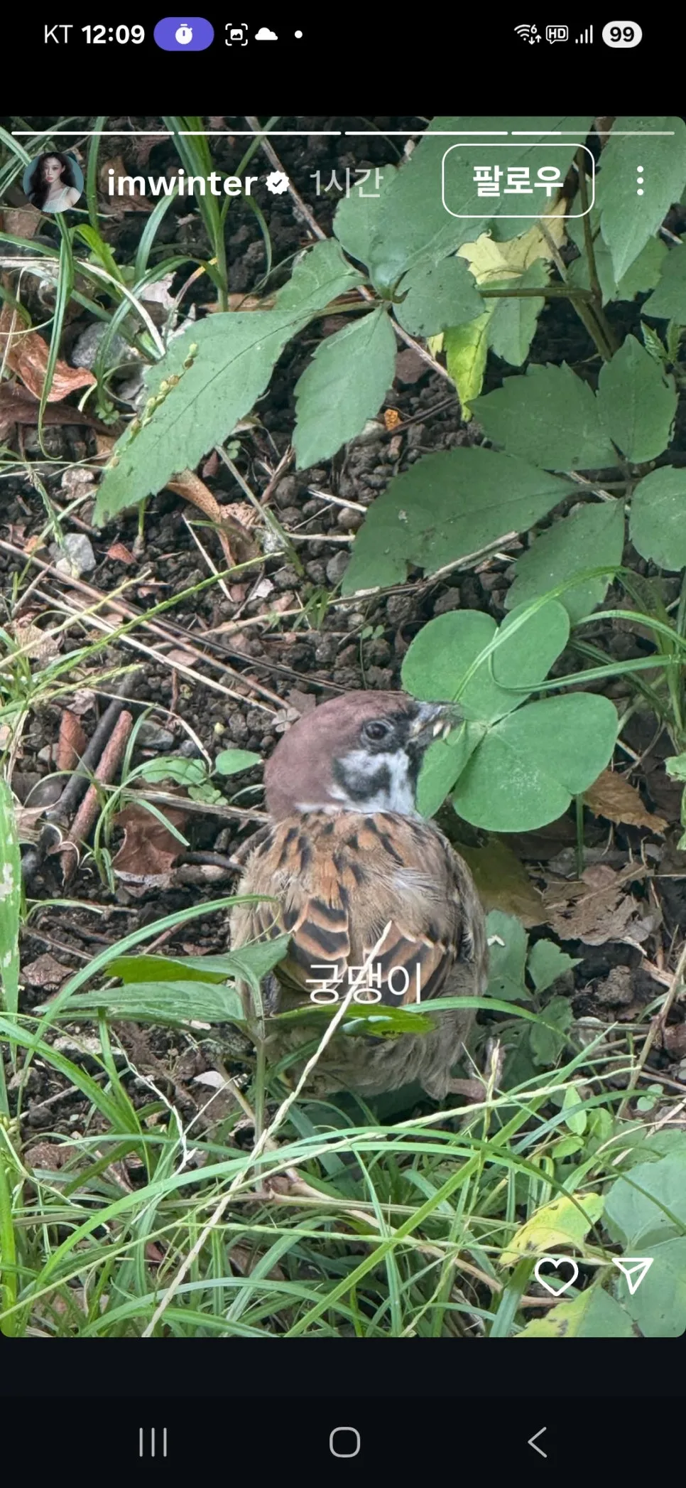 KakaoTalk_20251013_123139513_13.jpg?type=w966