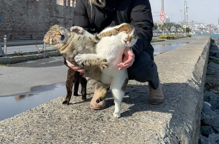 E7yc8shUcAMwxMG.png?type=w1