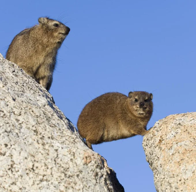 E9yaPLrVcBAmH6C.jpg?type=w1