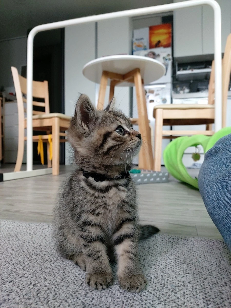 E2FQwq9UUAUIsON.jpg?type=w1