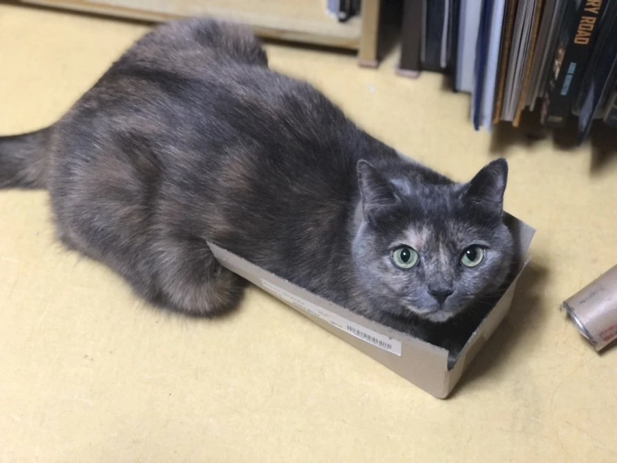 EmYquNeVMAIQ1Aq.jpg?type=w1