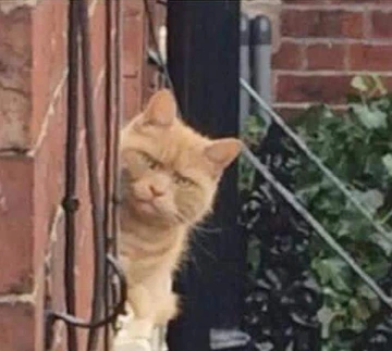 E6WAWcqVcAEwESE.png?type=w1