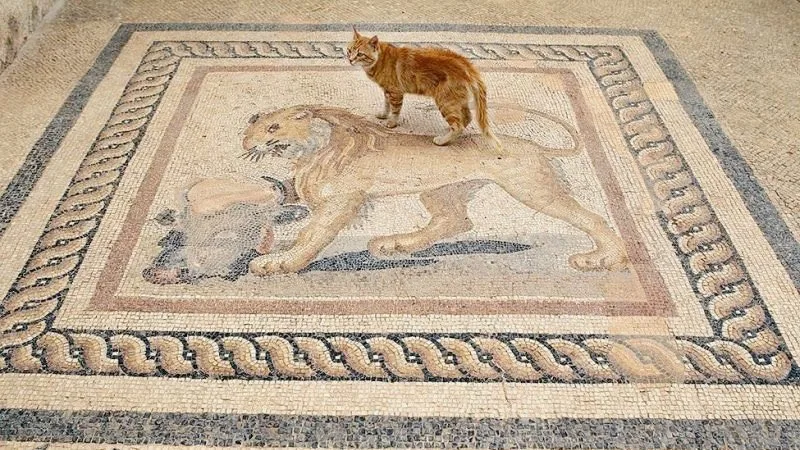 E-q5q3AWEAIPVJk.jpg?type=w1