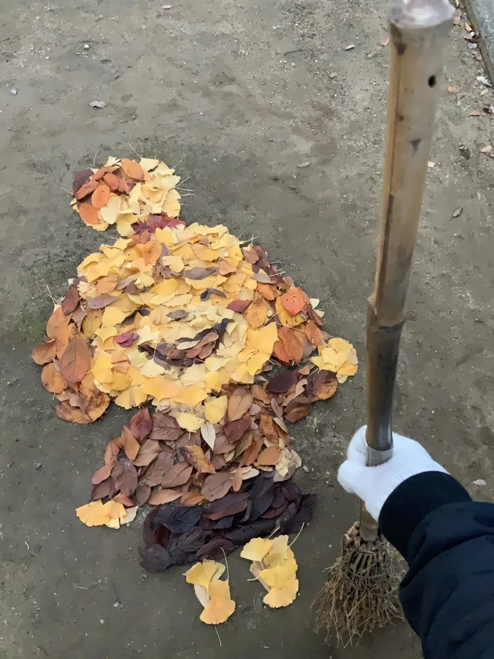 Ens0m61UYAAeCuq.jpg?type=w966