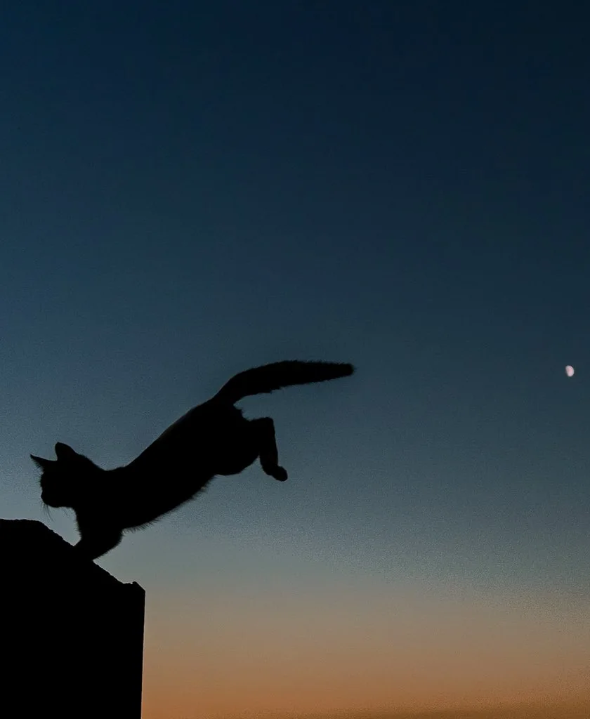 E9YrirbVkAAroCR.jpg?type=w1