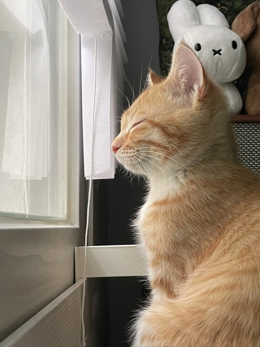 FGIi_8qVQAEaKUA.jpg?type=w1