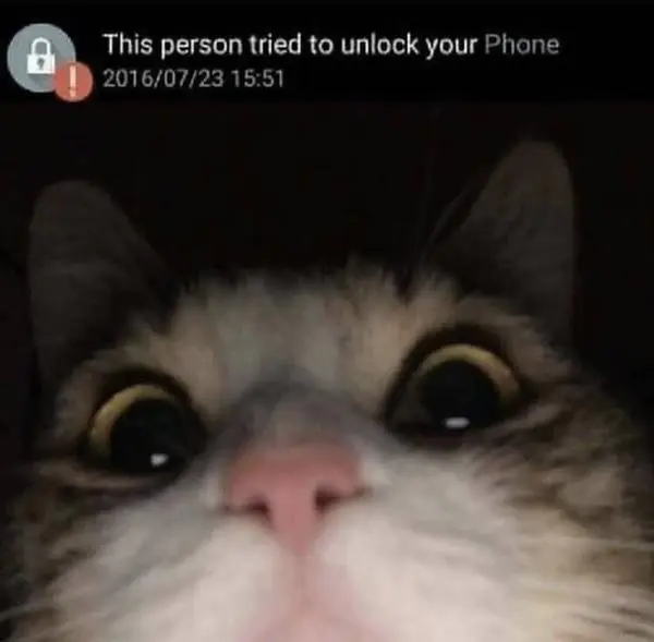 Et_Cc58U0AAFlyH.jpg?type=w966